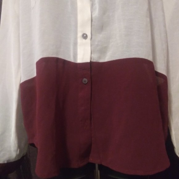 Cream and Burgundy Transparent Button Up Blouse - Picture 3 of 4